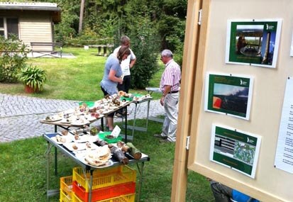 Besucher am Stand des Pilzberaters