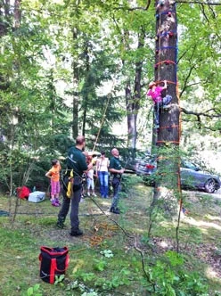 Kinder erklimmen den Kletterbaum