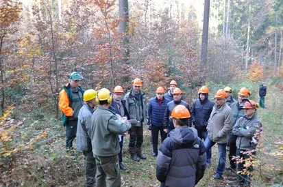 Die G&auml;ste stehen mit Schutzhelmen im Wald