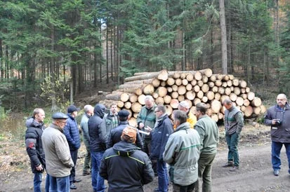 Die Besucher stehen auf einem Forstweg vor einem Holzstapel