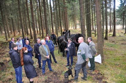 Die Besucher stehen im Wald, im Hintergund zwei Pferde die einen Pflug ziehen