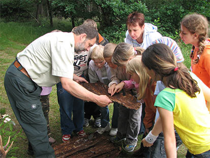 Ein Förster zeigt Kindern Borkenkäfer auf einem Stück Baumrinde