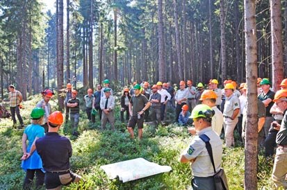 Die Exkursionsteilnehmer im Wald.