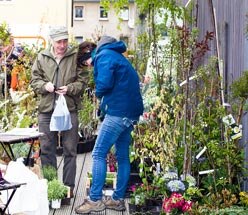 Kunde mit Verkäuferin beim Kauf von Pflanzen