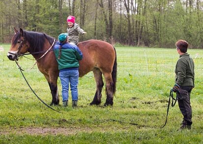 Ein Kind sitzt auf einem Pferd