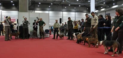 Mitarbeiter von Sachsenforst pr&auml;sentieren Jagdhunde