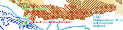 Beispiel einer Karte Waldfunktionen in Sachsen