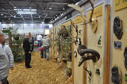 Besucher vor den Schautafeln des mobilen Walderlebnispfades