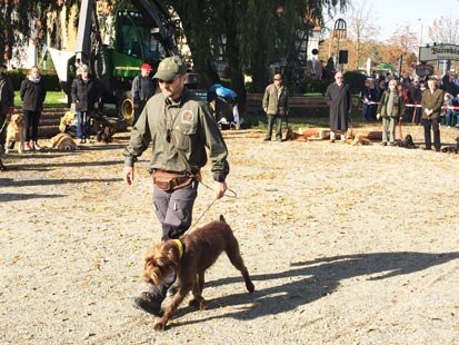 Ein Mann mit Jagdhund