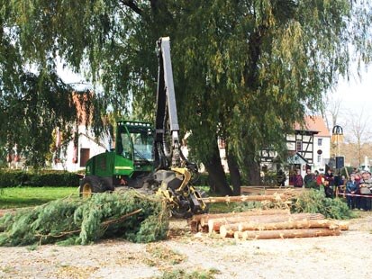 Der Harvester beim Entasten von Baumstämmen