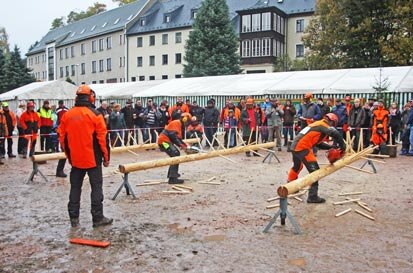 Wettkämpfer bei Entasten mit Motorsäge
