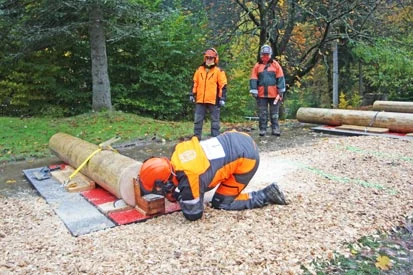 Forstwirt Thomas Stehl beim Pr&auml;zisionsschnitt.