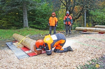 Forstwirt Thomas Stehl beim Präzisionsschnitt.