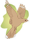 Logo des Naturschutzgebietes