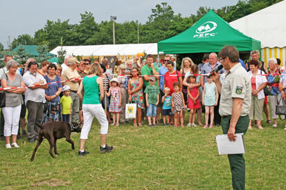 Ein Jagdhund wird vor einer großen Besuchermenge herumgeführt und Andreas Naujoks gibt mit Mikrofon in der Hand Erläuterungen ab.