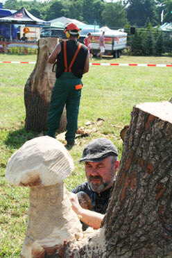 Zwei Arbeiter schnitzen mit Motorsägen Skulpturen aus Holzstämmen.
