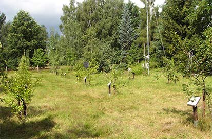 Der phänologische Garten in Graupa