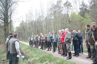 Teilnehmer der Exkursion auf einem Waldweg hören den Erläuterungen der Exkursionsleitung zu