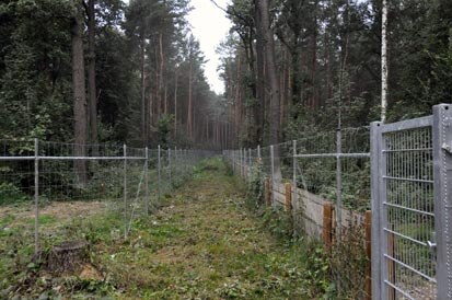 Blick auf die stabile Doppelzaunanlage