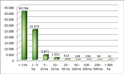 Verteilung der Privatwaldbesitzer nach Eigentumsgrößen