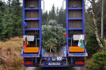 Das Transportfahrzeug des THW von hinten mit aufgeladenem Baum