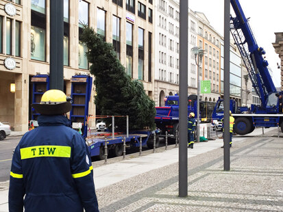 In Berlin wird der Baum mit dem Kran vom Tieflader gehoben