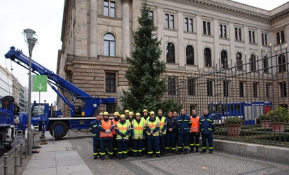 Die Helfer des THW stehen gemeinsam vor dem aufgestellten Baum