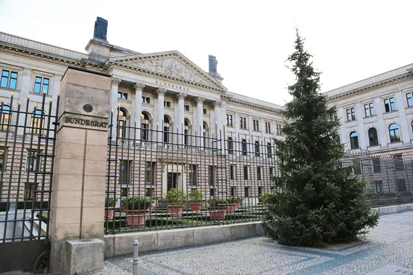 Die Omorikafichte vor dem Bundesratsgeb&auml;ude in Berlin