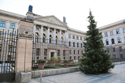 Die Omorikafichte vor dem Bundesratsgebäude in Berlin