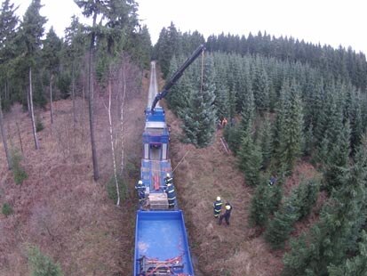 Blick von oben auf Tieflader und Kran, an dem der Baum hängt.