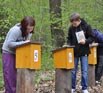 Eröffnung der 15. Sächsischen Waldjugendspiele 2013