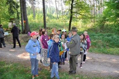 Eine Kindergruppe h&ouml;rt auf einem Waldweg einem F&ouml;rster zu