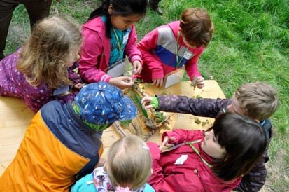 An einem Tisch betrachten Kinder Blätter und Nadeln