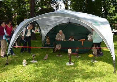 Vor dem Stand des Falkners sitzen verschieden Greifv&ouml;gel