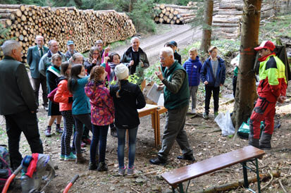 In der Schülergruppe an einem Waldweg mit Holzstapeln melden sich einige auf von Herrn Schwarz gestellte Fragen
