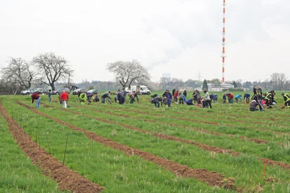 Blick &uuml;ber die Pflanzfl&auml;che