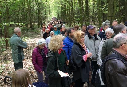 Die lange Schlange von Wanderern auf dem Waldweg