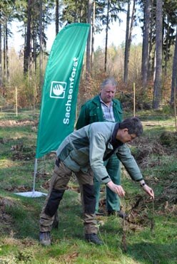 Revierleiter Heiko Zuppke erläutert mit Forstwirt Ralf Schmidt die Pflanzung