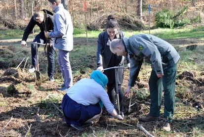 Sch&uuml;lerinnen der 101. Oberschule beim Pflanzen unter fachkundiger Anleitung von Forstbezirksleiter Dr. Biernath