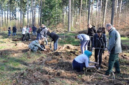 Schüler beim Pflanzen auf der Fläche