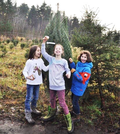drei lachende Kinder vor einem Weihnachtsbaum