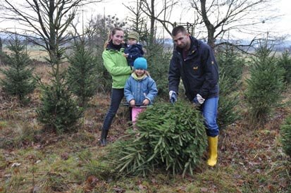 Eine Familie mit einer Fichte