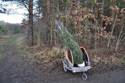 Ein Weihnachtsbaum in einem Fahrradanhänger.