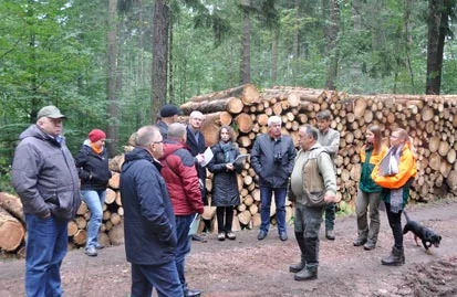 Die G&auml;ste vor einem Holzpolter im Wald