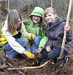 Kinder auf einer Pflanzaktion im Wald