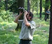 Ein Mitarbeiter steht mit einem Fernglas im Wald und begutachtet die Baumkronen.